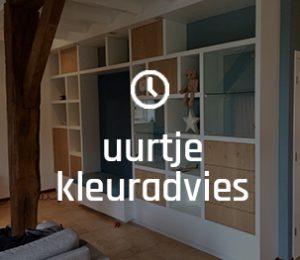 kleuradvies